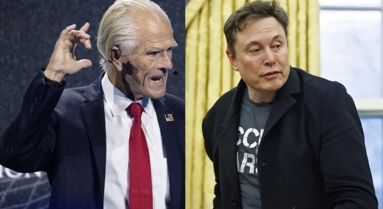 Elon Musk llama «imbécil» a Peter Navarro, asesor económico de Donald Trump