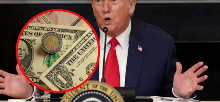 Precio del dólar cae ante el peso mexicano