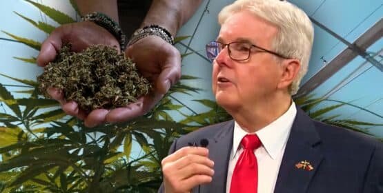 Industria del cannabis en Texas enfrenta posible colapso por ley contra productos con THC