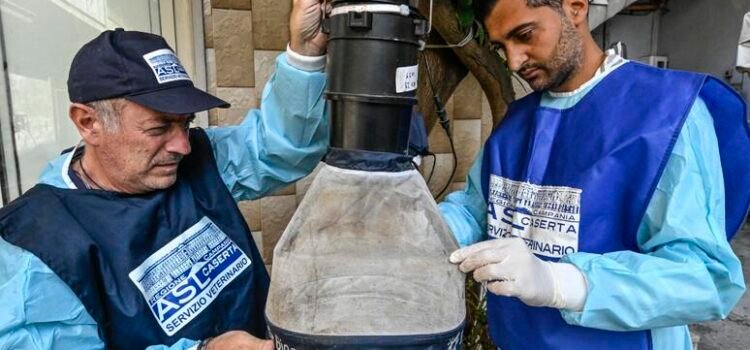 Italia suma cinco nuevas muertes por el virus del Nilo Occidental