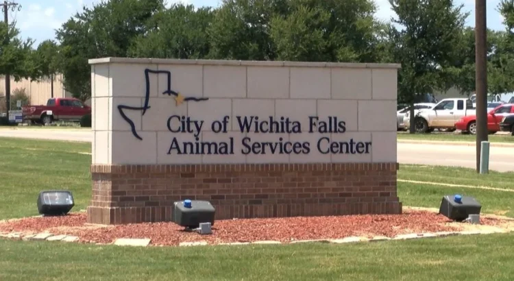 La ley de Texas ahora protege la seguridad de los oficiales que cuidan a los animales en las carreteras