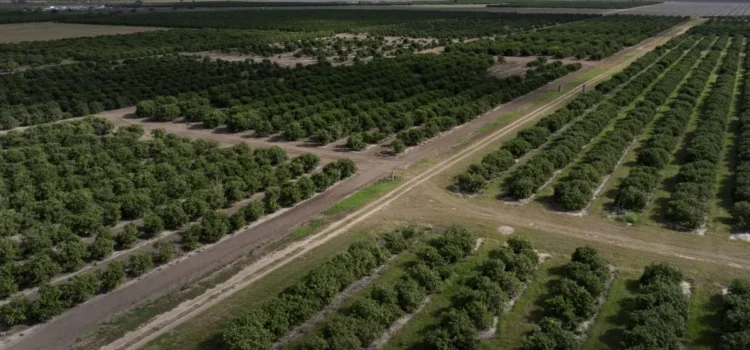 Congreso de Texas quiere que Trump castigue a México por no cumplir plazo clave para el agua.