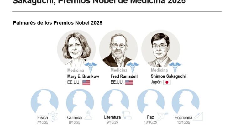 Nobel de Medicina para Brunkow, Ramsdell y Sakaguchi por descubrir las células que controlan al sistema inmunitario